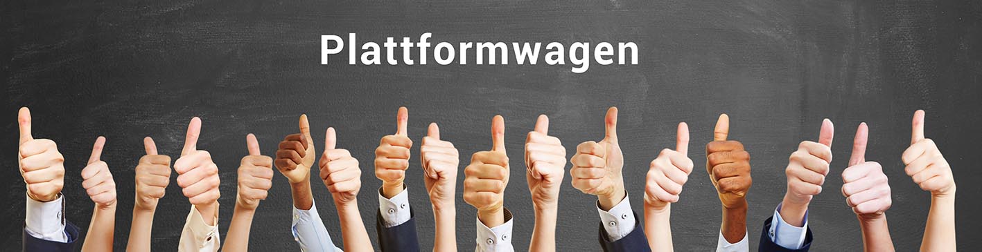 Plattformwagen_BERGER-Shop_ASt112133130 _tiny